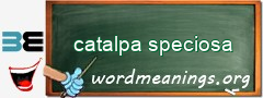 WordMeaning blackboard for catalpa speciosa